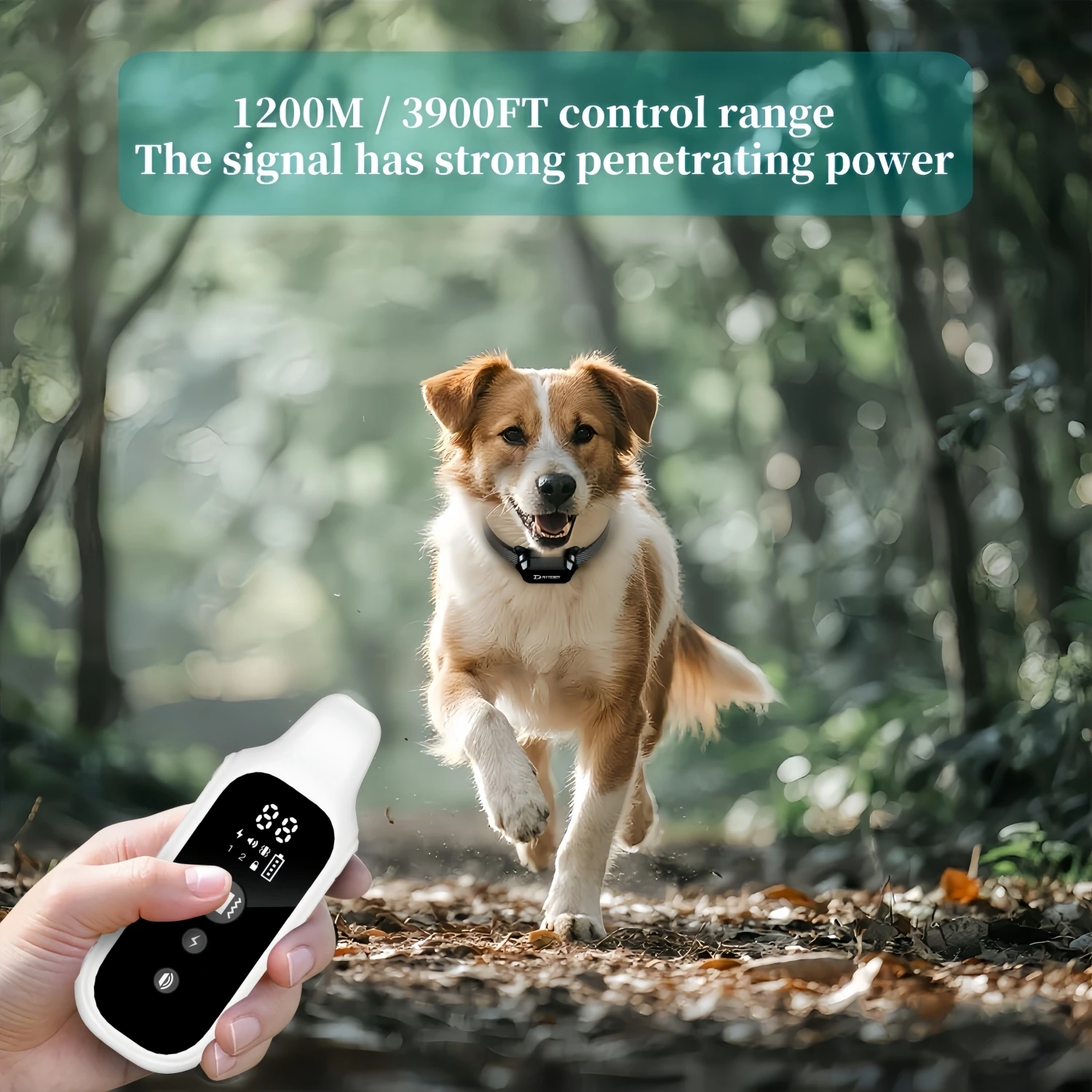 Collar de entrenamiento Digital para perros de 800m, resistente al agua, recargable, Control remoto, mascota con pantalla LCD para todos los tamaños, sonido de vibración de choque - Imagen 4
